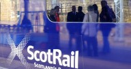 Glasgow Central trains face major disruption due to a 'swan on the tracks'