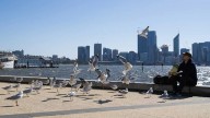 Climate Change Linked to Nearly 100,000 Deaths from 2023 Heatwaves: Global Study
