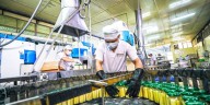 Ministerio de la Producción: industrias que operaban sin IGA hasta 2019 tendrán 5 años más para regularizar su situación ambiental