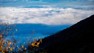 Fall colors peak along the Blue Ridge Parkway near…