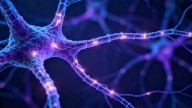 Las neuronas pueden comunicarse a través de una red oculta de nanotubos