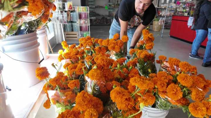 'Busiest time of year': Wyoming businesses prepare for Día de Muertos