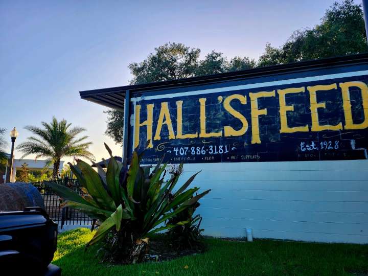 Hall's on 5th, like its namesake, is feeding Apopka well