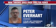 Man charged for throwing dogs over local shelter fence