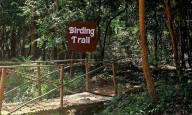 Birding trail begins at Odisha’s Debrigarh wildlife sanctuary
