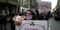 Tips Jurídicos: ¿Qué es el “ecocidio”?