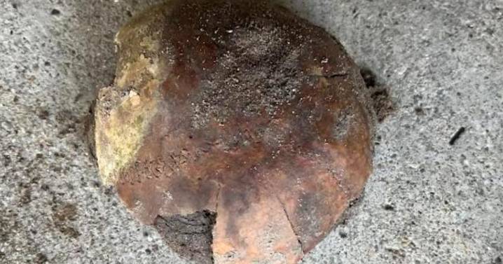 4,270-year-old human skull found along Indiana river