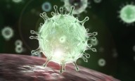 Covid mRNA vaccine may be used to fight lung, skin cancer