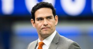 Mark Sanchez approached and assaulted truck driver before stabbing, police allege