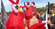 Leftists Spotted Wearing Frog, Dinosaur Costumes at 'No Kings' Protests