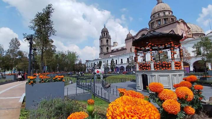 Ayuntamiento de Toluca colocó mil 350 macetas de cempasúchil en espacios públicos