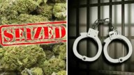 DRI Seized Ganja Worth Rs. 2.6 Crore In Vijayawada, Three People Arrested