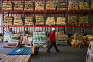 Inseguridad alimentaria en Chile afecta a uno de cada cinco hogares