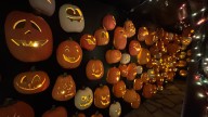 How Trump's China tariffs are taxing the price of a Halloween pumpkin