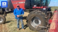 Regional Victorian farmers left high and dry as decent spring rain fails to arrive