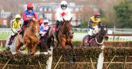 Half price tickets to Sandown Park Betfair Tingle Creek Festival