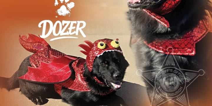 ‘All treats, no tricks’: VCSO K9s reveal their Howl