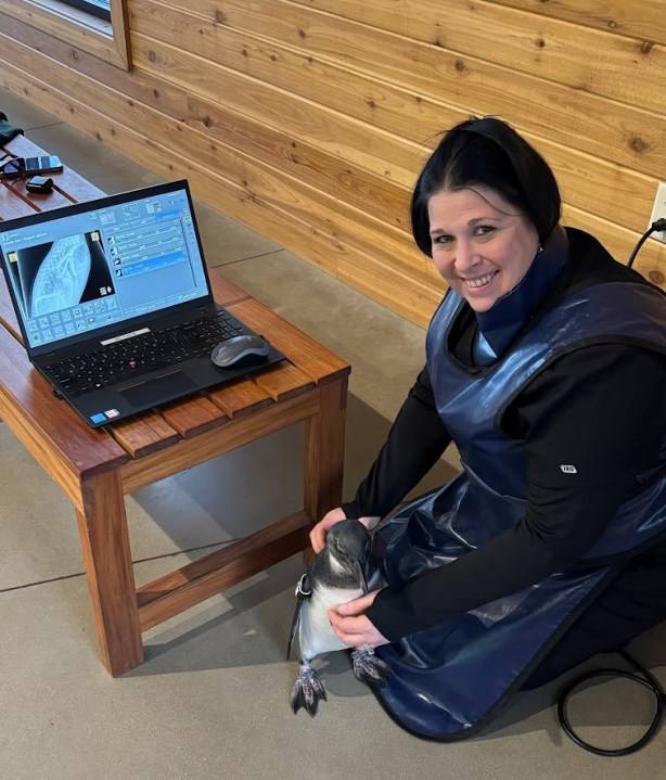 Meet Brandy Struecker, vet tech at Dakota Zoo