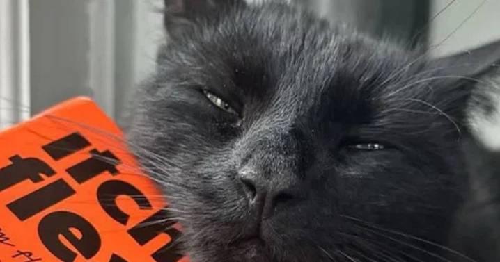 Vet's warning to pet owners to do one thing this winter to avoid 'dangerous' risk