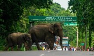 Centre clears Rs 6,957-Cr Kalibor-Numaligarh 4