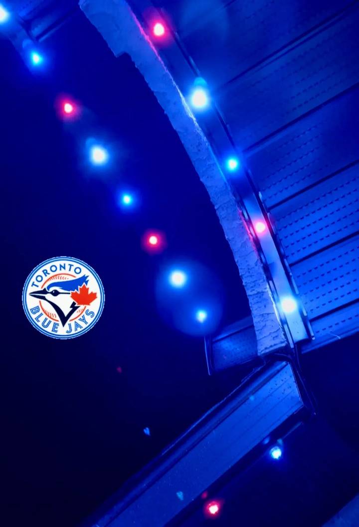 The Blue Jays Did It – We’re Going Back To The World Series!