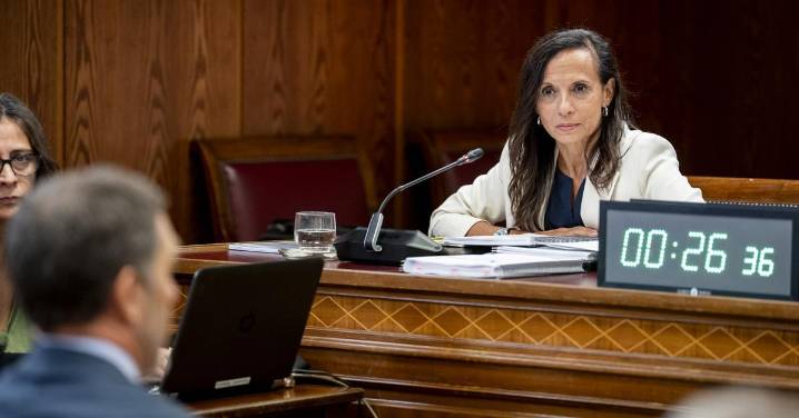 Iberdrola demandará a la presidenta de Red Eléctrica por haberla señalado por el apagón