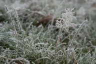 Chilly weather lingers in central Pa., with morning frost expected