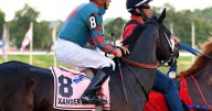 Dosañeros nativos en la séptima carrera