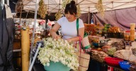 A ubiquitous flower in LA is a reminder of homeland for a Salvadoran chef