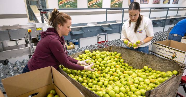 ‘A sad reality’: Food banks, grocery stores, residents expect to feel the strain from impending SNAP benefit expirations