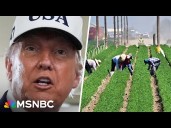 'Sold America's farmers out': Soybean farmer blasts Trump