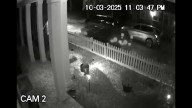 St. Pete Police looking for driver of car seen on camera near scene of deadly hit