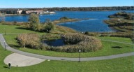 City of New Bedford receives $50,000 grant to restore historic salt marsh