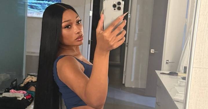 Megan Thee Stallion's Mirror Selfie in Mini