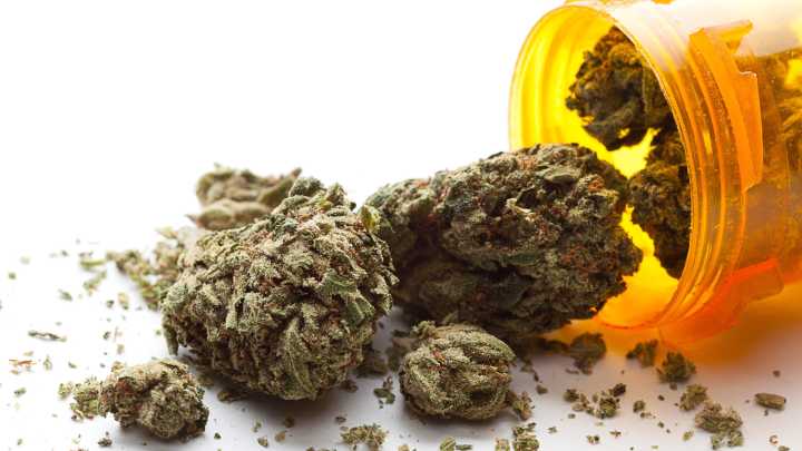 Medical marijuana crackdown stirs outrage in Florida