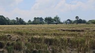 Es necesario analizar el crecimiento industrial en Cuautla: asociación civil