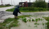 Más de 105 mm caídos requirieron de presencia del Municipio en las calles