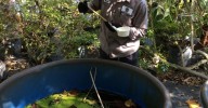 How Florida's weather swings are shaping mosquito season