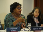 ENTREVISTA | CIDH: “impedir la visita de la Comisión reflejaría el colapso institucional en Venezuela” 