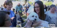 KLTV 10 p.m., Recurring M-F - clipped version BLESSING OF THE ANIMALS
