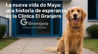 “La nueva vida de Maya: una historia de esperanza en la Clínica El Granjero”