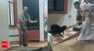 Reality bites: Actor attacked by dog during street play on stray menace in Kerala; audience thinks it’s part of act