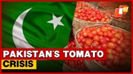Tomato Prices Skyrocket In Pakistan Amid Border Closure With Afghanistan