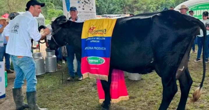Este es el dueño de Heredera la vaca que rompió récord en producción de leche en Colombia, es del Caquetá