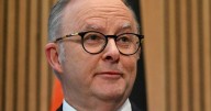 Albanese's talks with Trump 'couldn't have gone better'