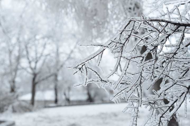 This winter in the DC region may be warmer than normal, NOAA says