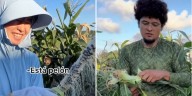 Japonesa y su esposo mexicano conquistan TikTok al cultivar vegetales mexicanos para hacer platillos tradicionales
