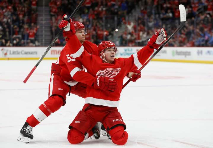 Red Wings pick these two as alternate captains for full season