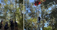 One rescued, another dead after parachute jump near Tennessee airport