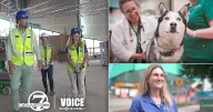 New CSU vet school, hospital takes shot at vet school supremacy, offering community state